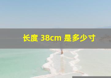 长度 38cm 是多少寸